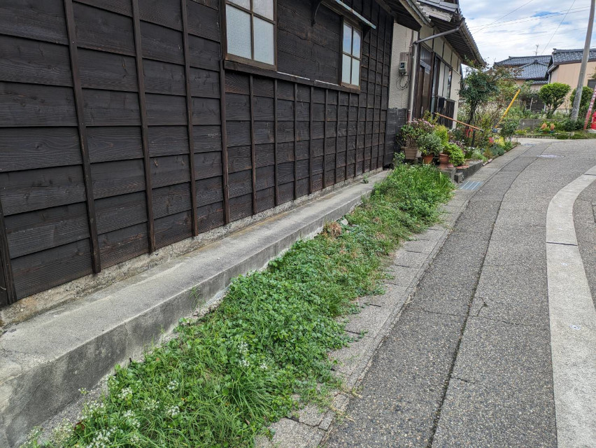 素敵な日本家屋です。