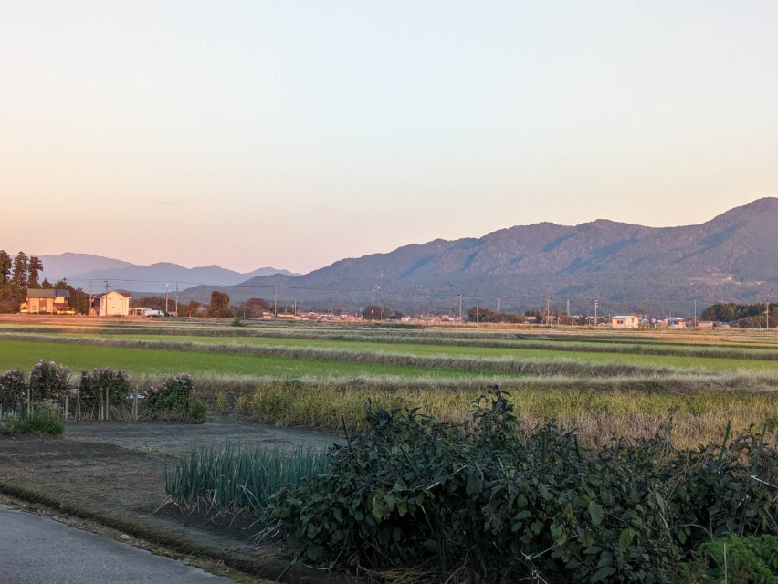 土蔵の保全対応をご依頼頂きました。今日は素晴らしい陽気で、まさに仕事日和でした。