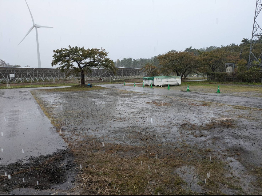 今日は荒井浜海浜公園の松の植栽です。残念ながら大雨の中始まりました。